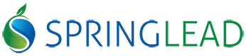 Spring Lead logo – B2B lead generation UK